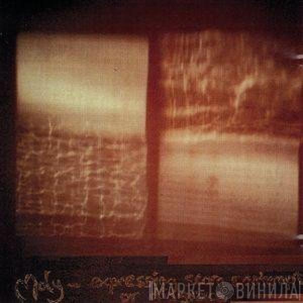 Moly  - Expressing Scorn Contempt Or Disgrace