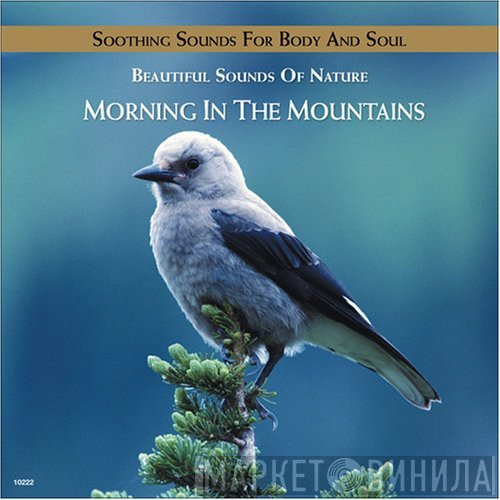  - Morning In The Mountains
