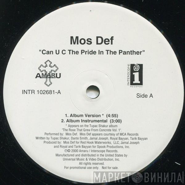 Mos Def - Can U C The Pride In The Panther