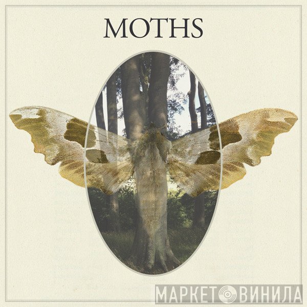 Moths  - Moths