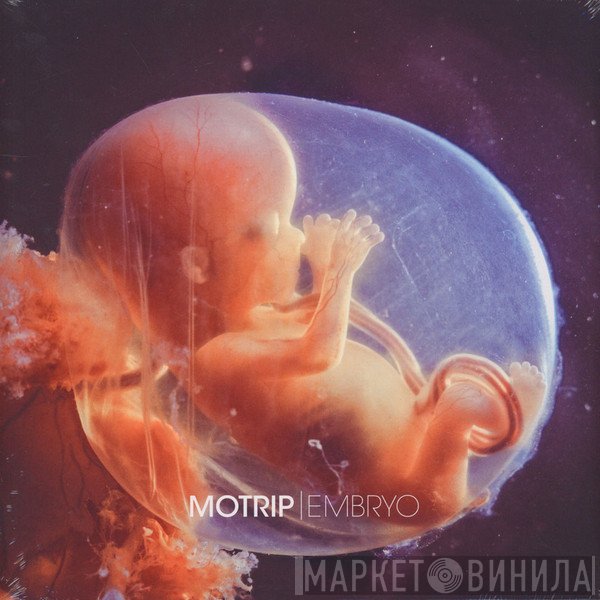 Motrip  - Embryo