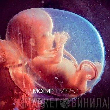 Motrip  - Embryo