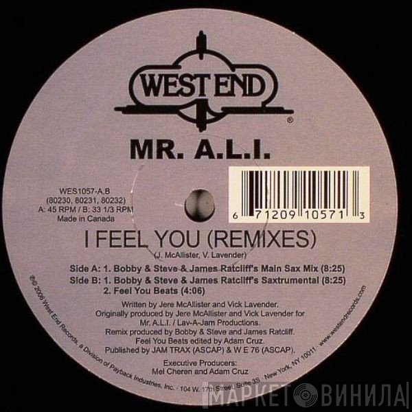 Mr. A.L.I. - I Feel You (Remixes)