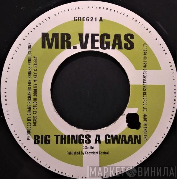 Mr. Vegas, Zebra  - Big Things A Gwaan / Picture Fi Frame