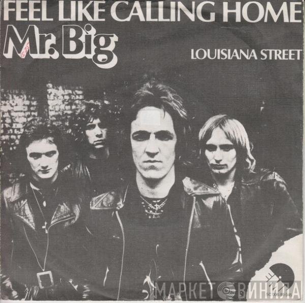 Mr Big  - Feel Like Calling Home