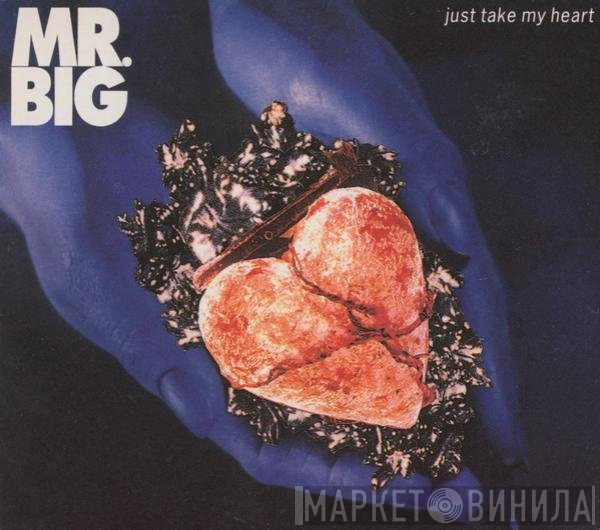 Mr. Big - Just Take My Heart