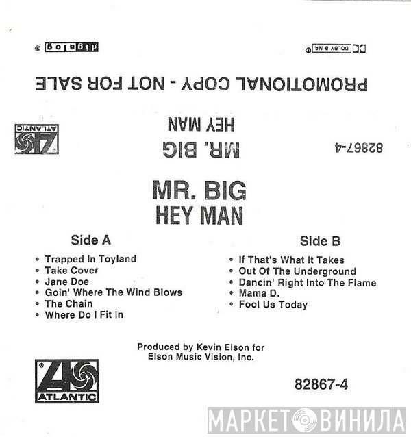 Mr. Big  - Hey Man