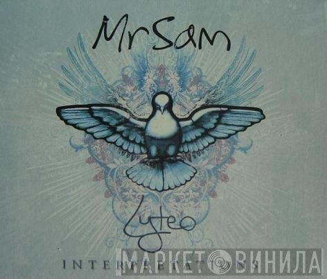 Mr. Sam  - Lyteo Interpretations