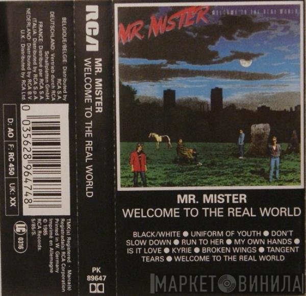 Mr. Mister - Welcome To The Real World