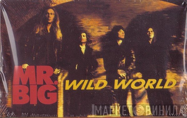 Mr. Big  - Wild World