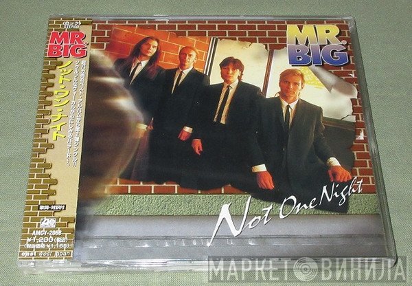 Mr. Big  - Not One Night