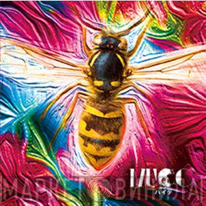 Mucc  - ハイデ