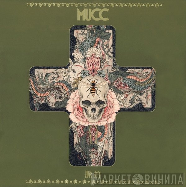 Mucc  - 脈拍