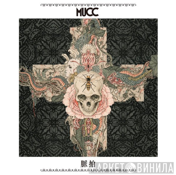 Mucc  - 脈拍