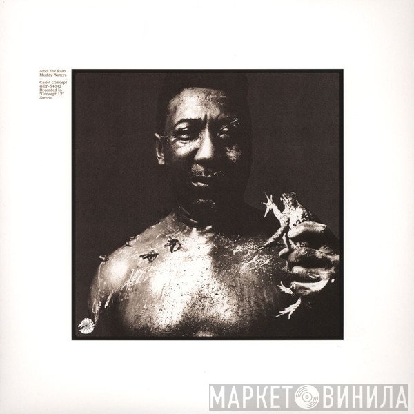 Muddy Waters - After The Rain