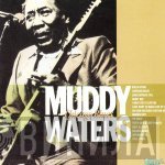 Muddy Waters  - Chicago Blues