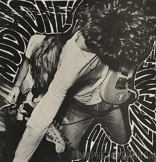 Mudhoney  - Superfuzz Bigmuff