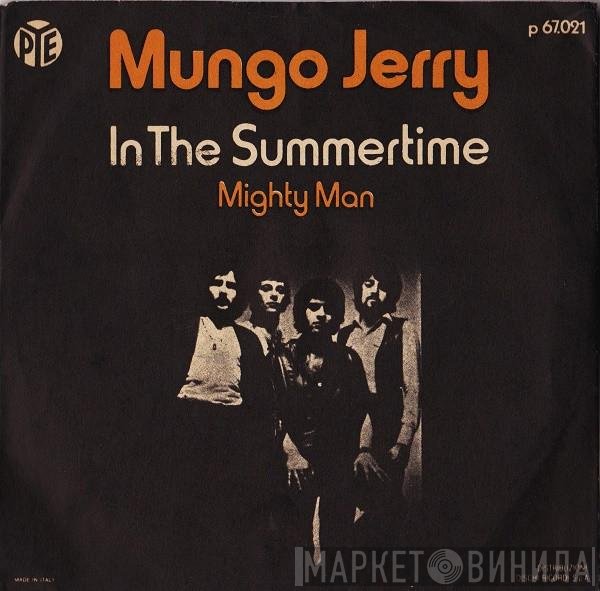 Mungo Jerry  - In The Summertime
