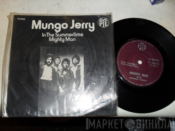 Mungo Jerry  - In The Summertime