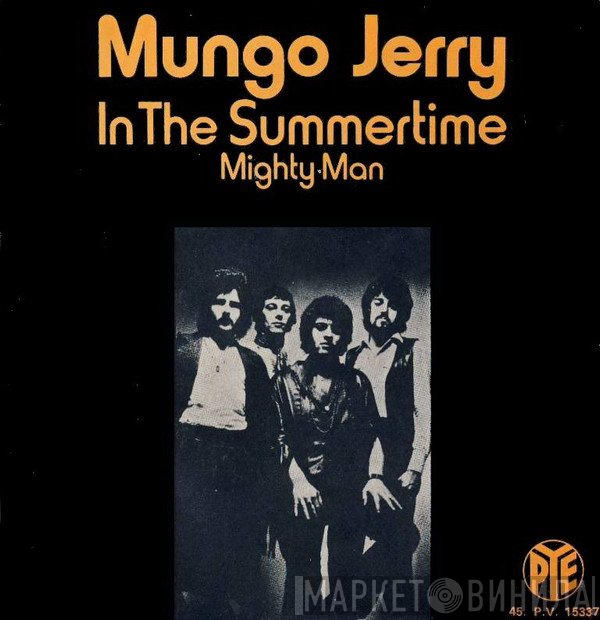 Mungo Jerry  - In The Summertime