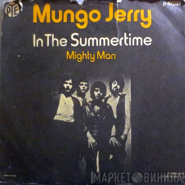 Mungo Jerry  - In The Summertime