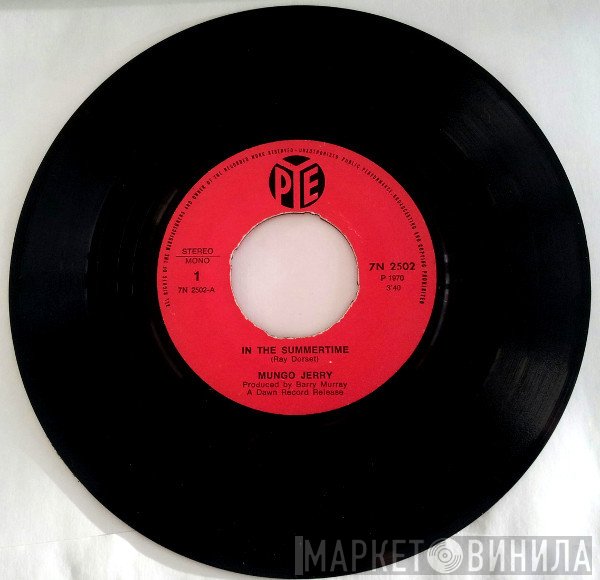 Mungo Jerry  - In The Summertime