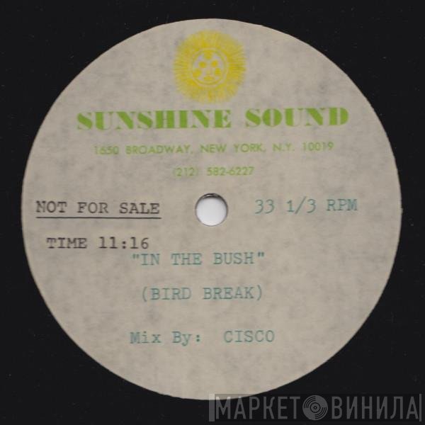 Musique  - In The Bush (Bird Break)
