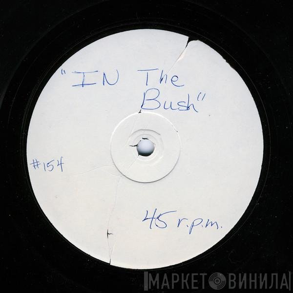 Musique  - In The Bush