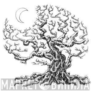 Mystified  - Nocturne