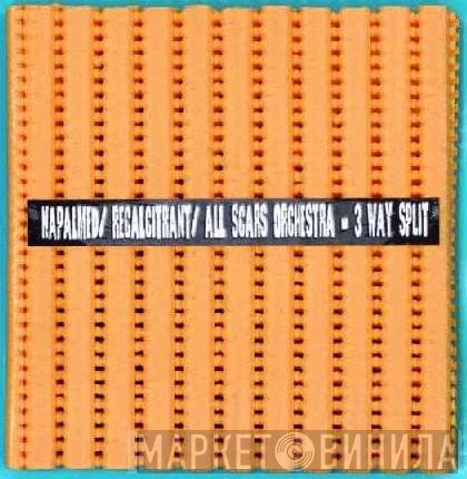 Napalmed / Recalcitrant / All Scars Orchestra  - 3 Way Split