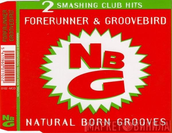 Natural Born Grooves  - Forerunner & Groovebird