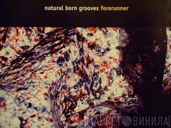 Natural Born Grooves  - Forerunner