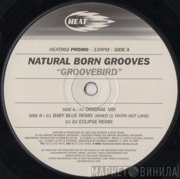 Natural Born Grooves  - Groovebird