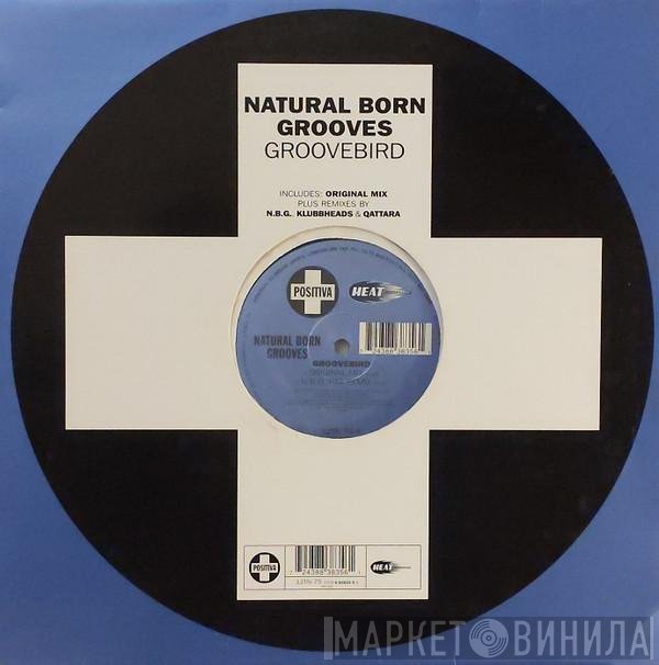 Natural Born Grooves - Groovebird