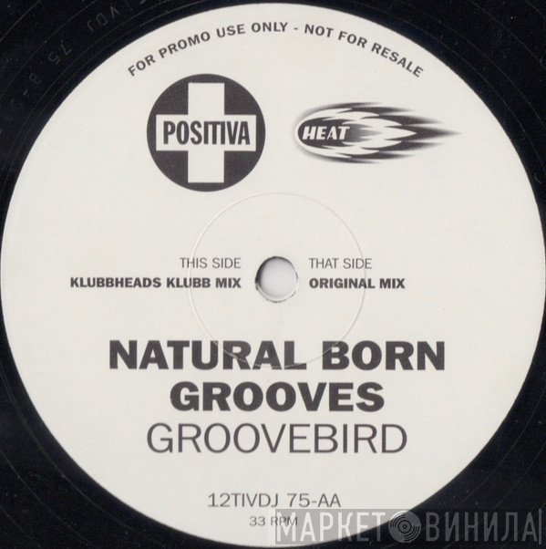Natural Born Grooves  - Groovebird