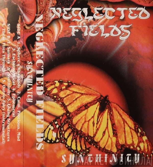 Neglected Fields  - Synthinity
