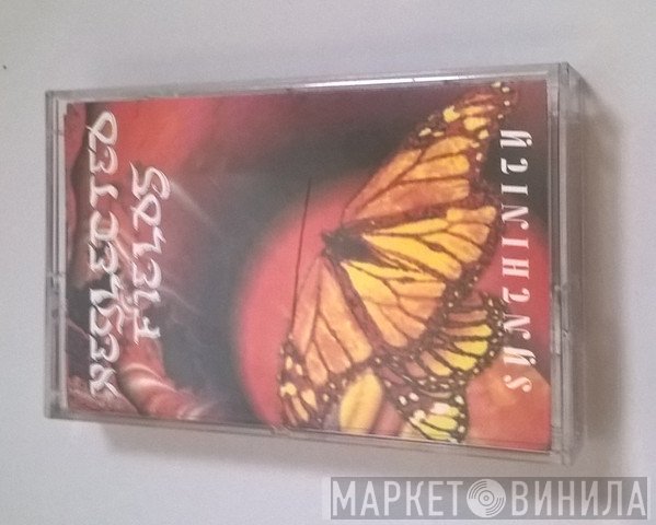 Neglected Fields  - Synthinity