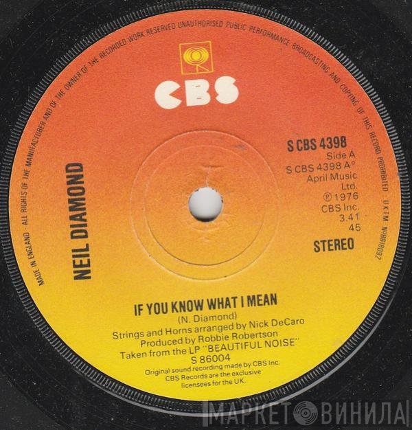Neil Diamond - If You Know What I Mean