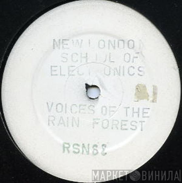 New London School Of Electronics - Voices Of The Rain Forest