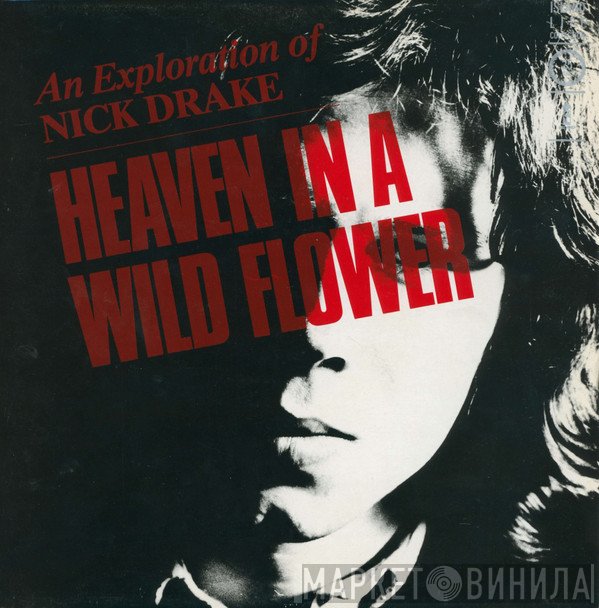 Nick Drake - Heaven In A Wild Flower - An Exploration Of Nick Drake