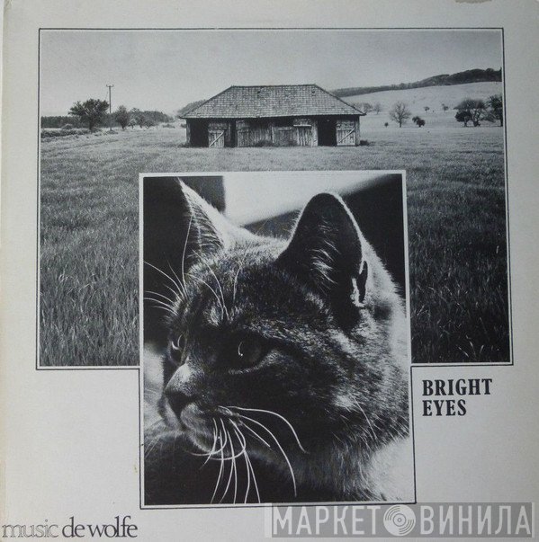 Nick Ingman, The Clearwater Ensemble - Bright Eyes