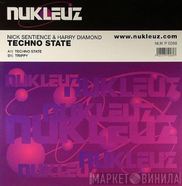 Nick Sentience, Harry Diamond - Techno State