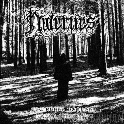 Nidernes -  The Abyss Beckons