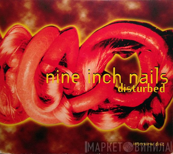 Nine Inch Nails  - Disturbed