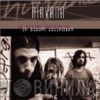 Nirvana  - In Bloom Collection