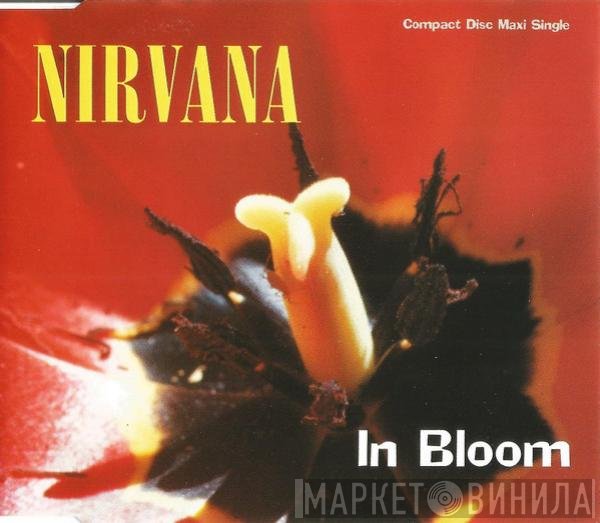 Nirvana  - In Bloom