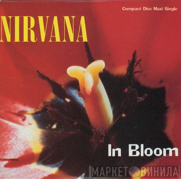 Nirvana  - In Bloom