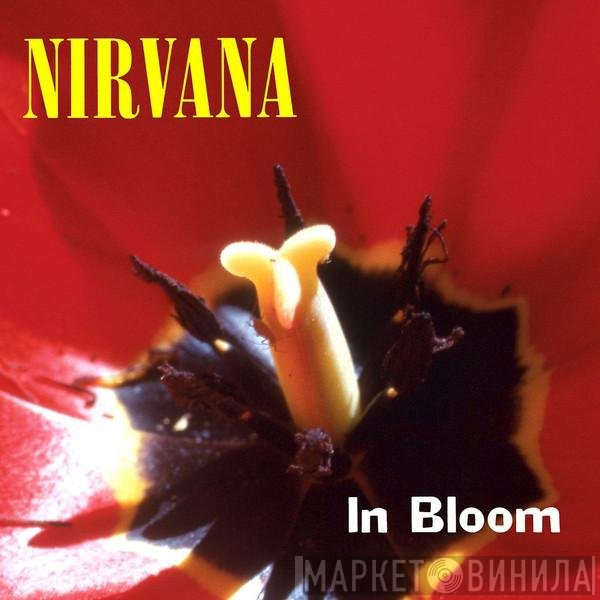 Nirvana  - In Bloom
