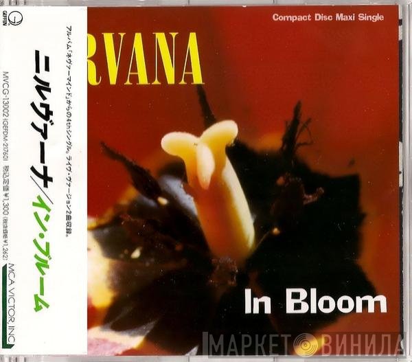 Nirvana  - In Bloom