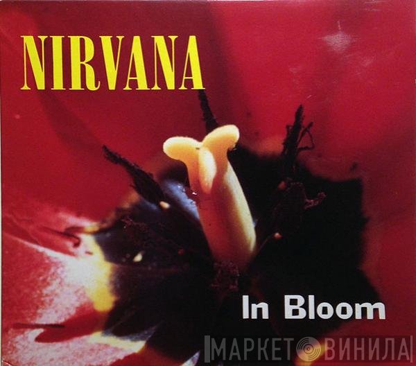 Nirvana  - In Bloom